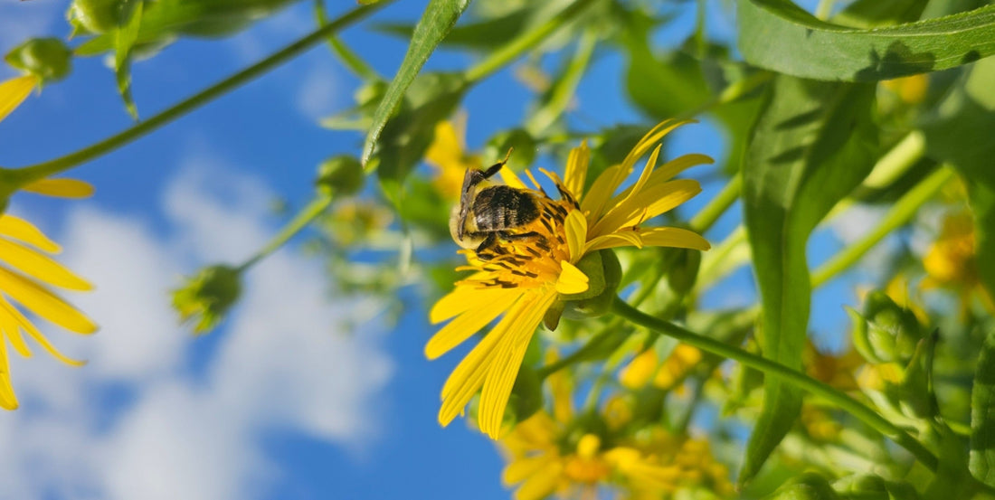 What is Heaven, Really?