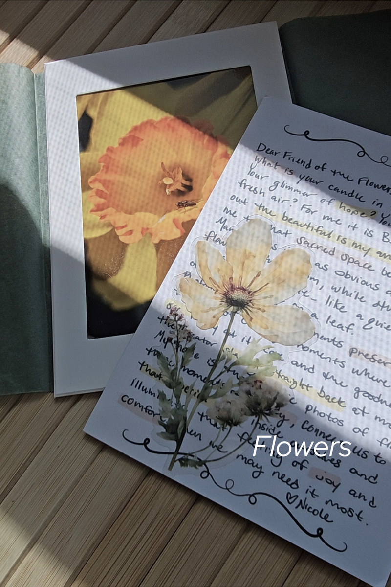 Flower Photo Club
