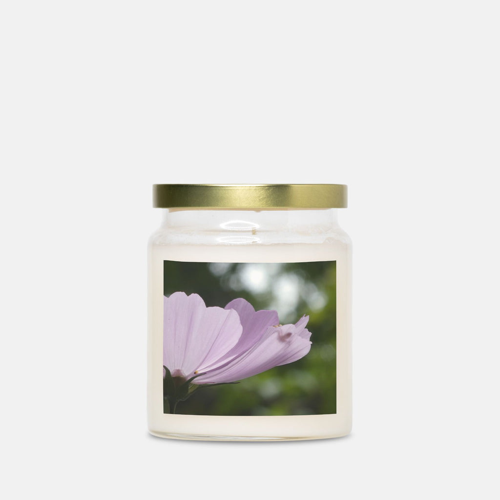 Candle Apothecary Jar (Single Wick)- COSMO