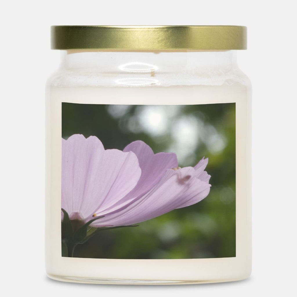 Candle Apothecary Jar (Single Wick)- COSMO