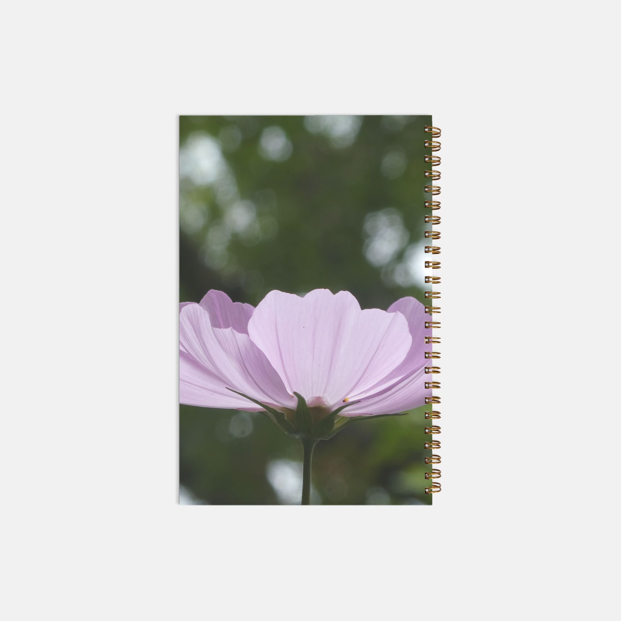 Notebook (Softcover Spiral)- COSMO